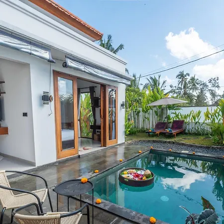 The Tjindra Mata 2 Bedroom Private Pool Villa Ubud