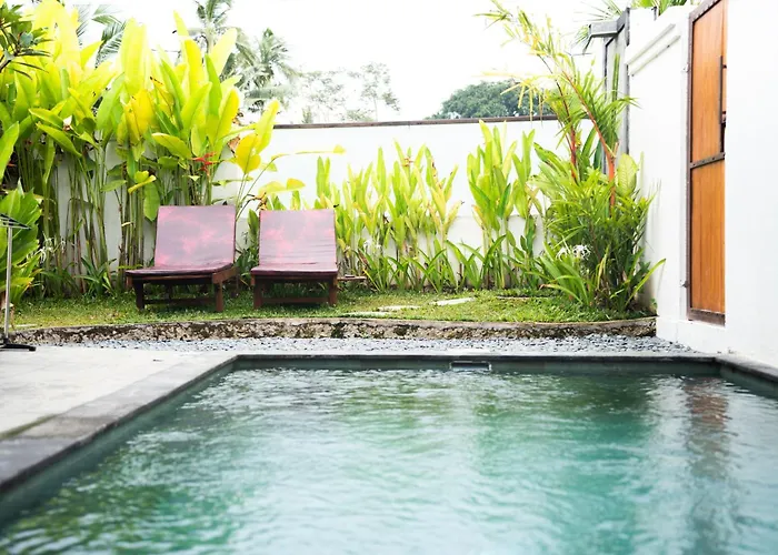 The Tjindra Mata 2 Bedroom Private Pool Ubud パヤンガン